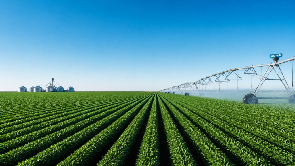 South African Farm